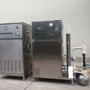 Máy ozone công nghiệp 100g Ecomax