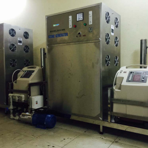 máy ozone xử lý nước nuôi trồng thuỷ sản 200g