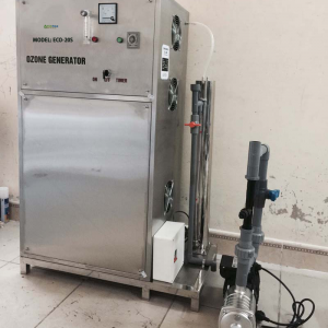 Máy sục khí ozone công nghiệp 20g