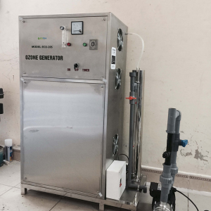 Máy ozone công nghiệp 20g/h