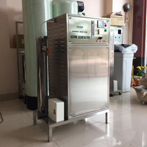Máy ozone công nghiệp Ecomax công suất 15g