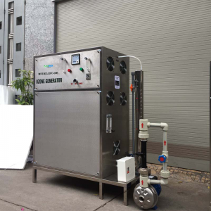 Máy ozone công nghiệp 80g Ecomax
