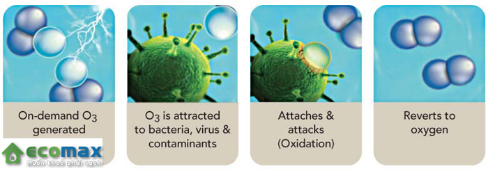 Ozone diệt khuẩn như thế nào