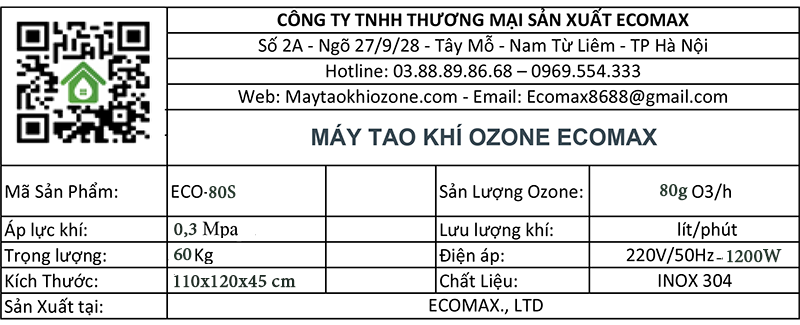 Máy ozone công nghiệp 80g Ecomax