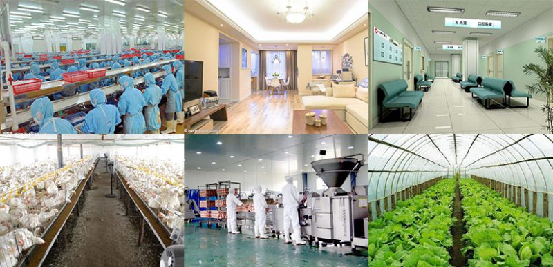 Ứng dụng của máy ozone công nghiệp