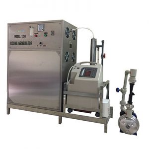 máy ozone công nghiệp 125g