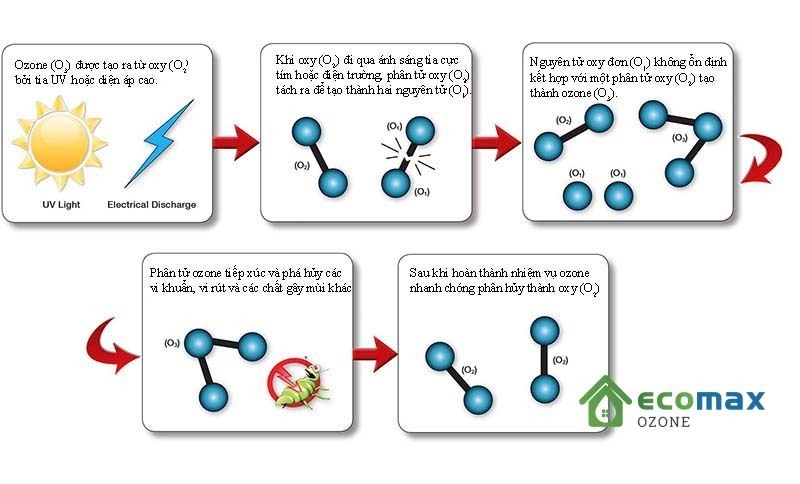 Ozone tiêu diệt vi khuẩn vi rút