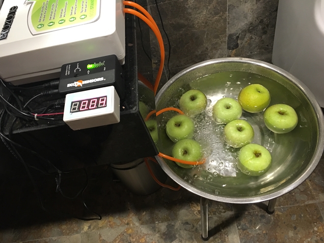 Sử dụng máy ozone loại bỏ thuốc trừ sâu