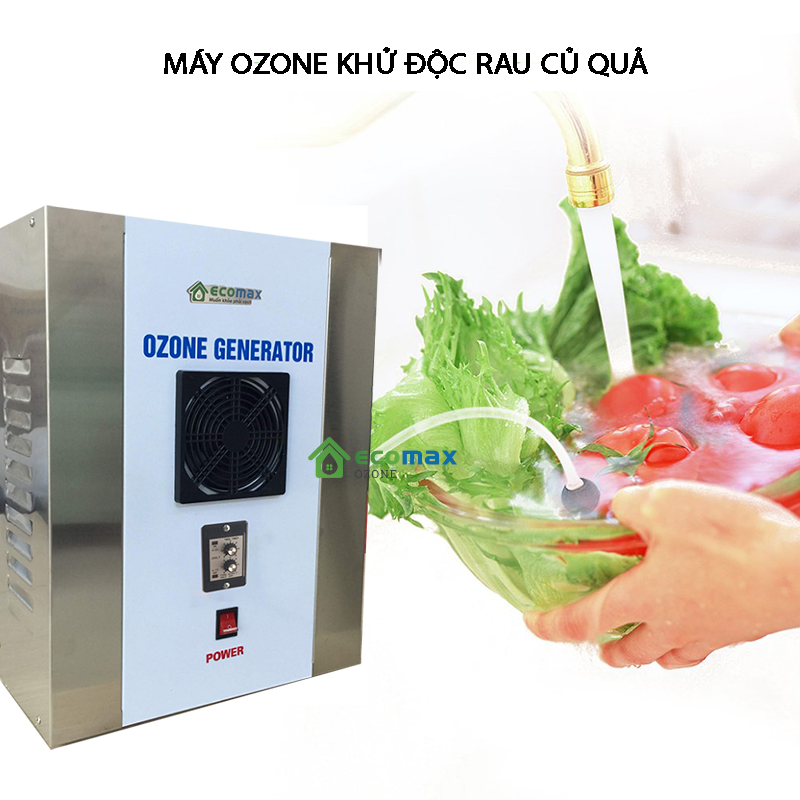 Sử dụng máy ozone rửa rau củ quả