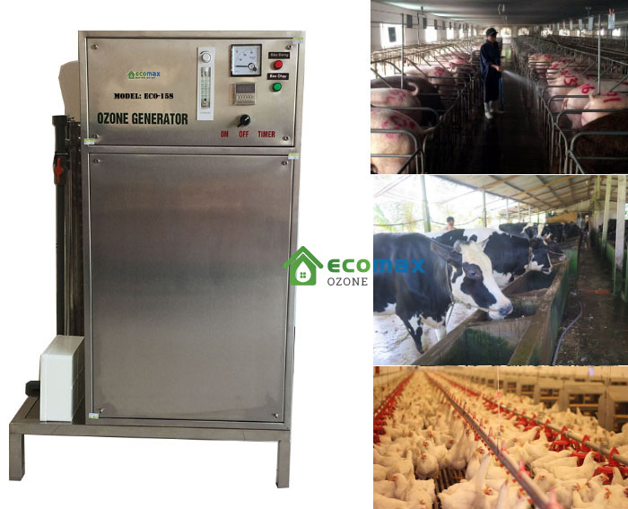 Máy ozone xử lý mùi trang trại chăn nuôi