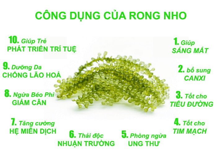 Tác dụng của rong nho