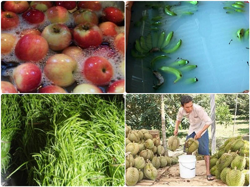 Trái cây ngâm hóa chất