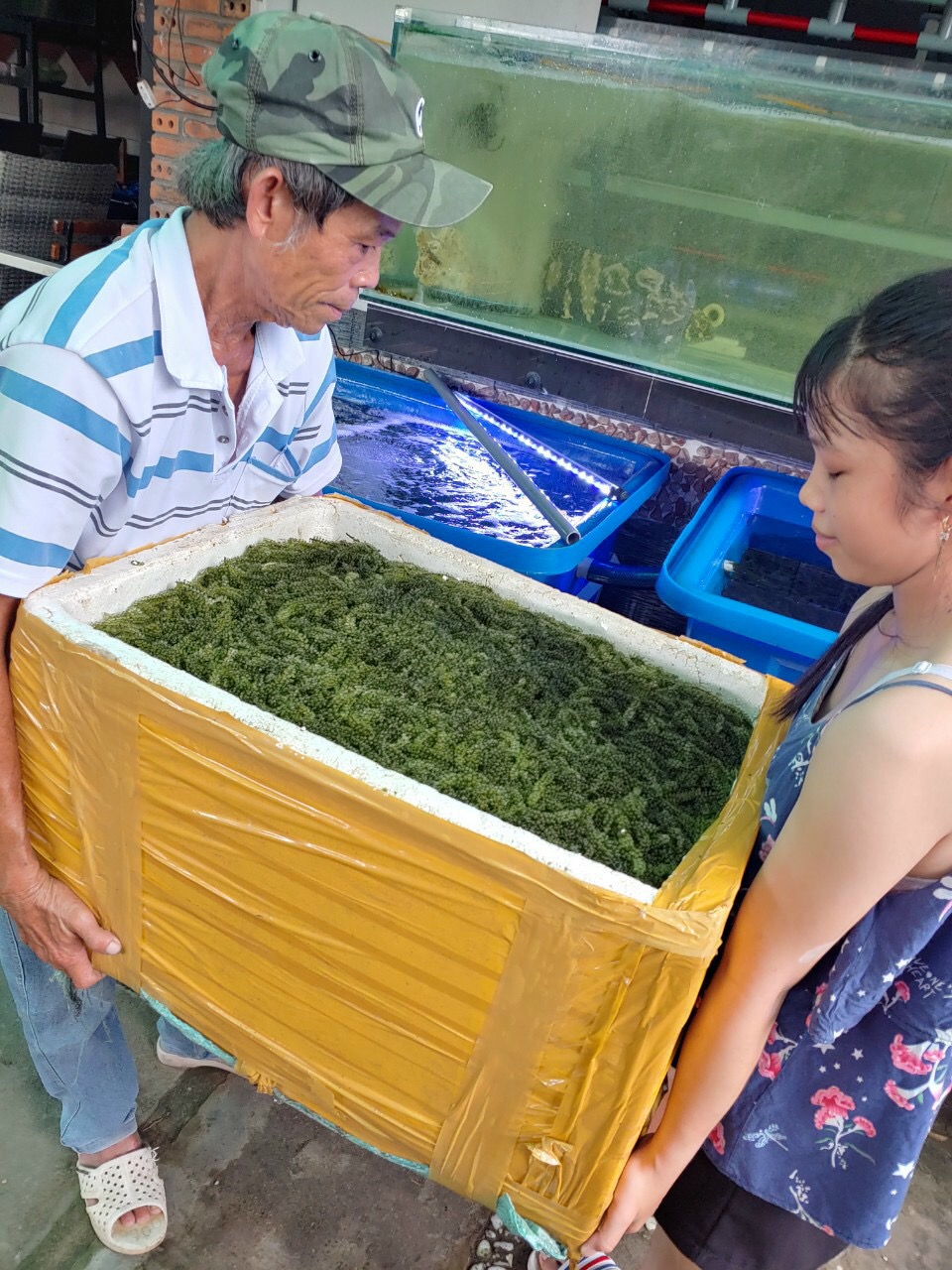 Tại sao cần làm sạch thực phẩm bếp ăn tập thể trước khi sử dụng?