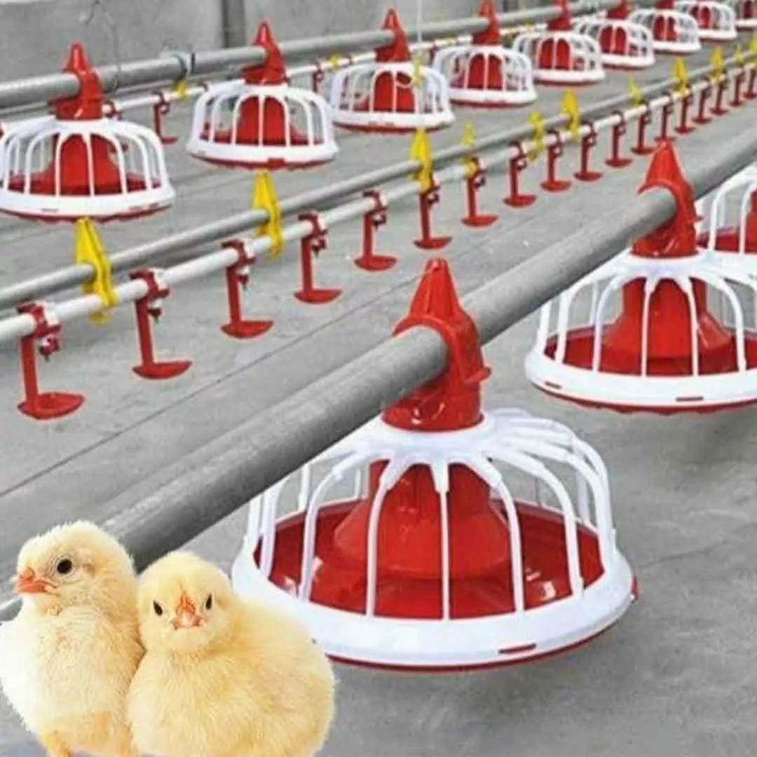 Xử lý nước - cung cấp nước uống sạch cho gia súc, gia cầm